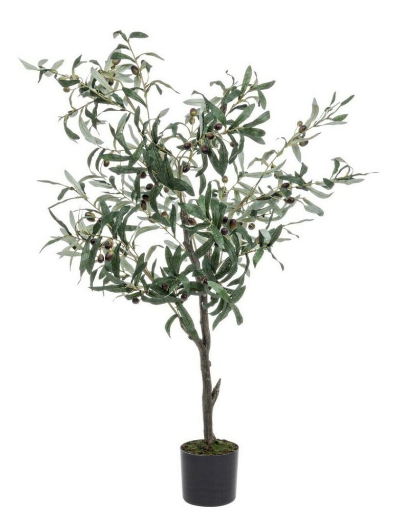 Pianta Ulivo 120 cm Bizzotto