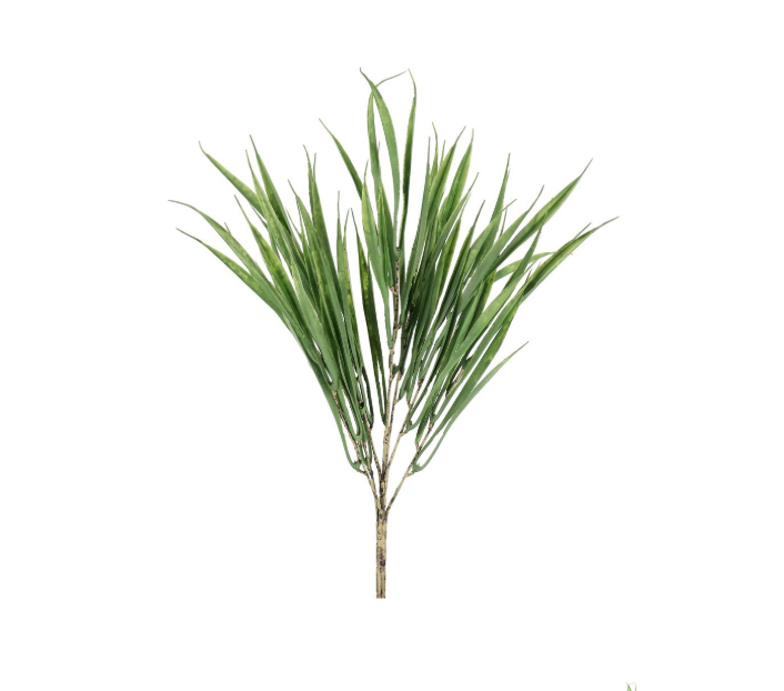 Pick Hakonechloa Leyna Bizzotto