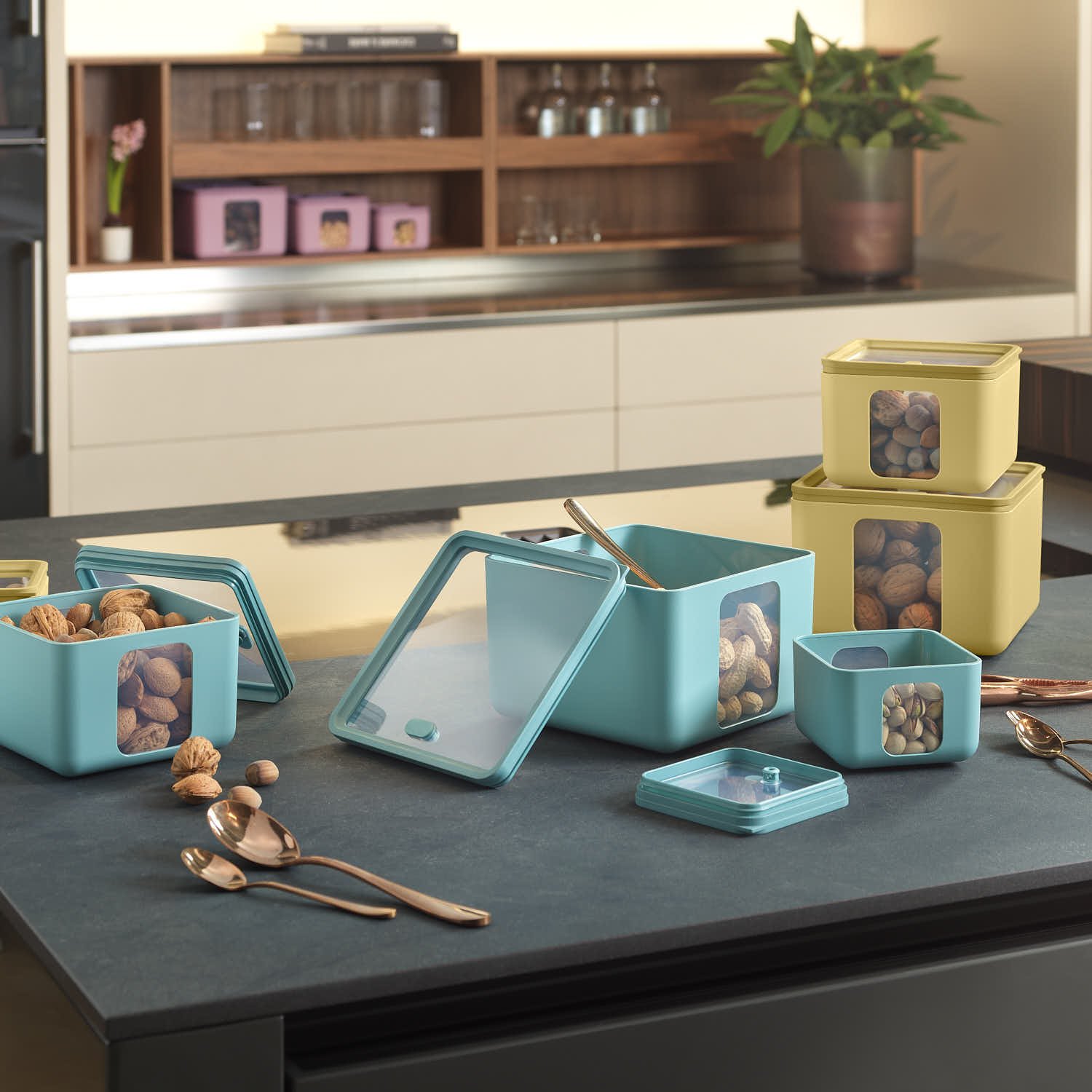 Contenitore Peek Box Quadro Blim