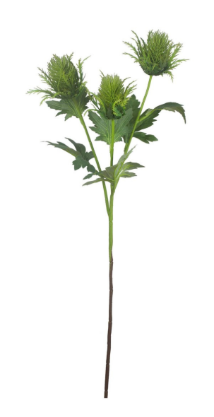 Ramo Dipsacus Hazely X3F Bizzotto