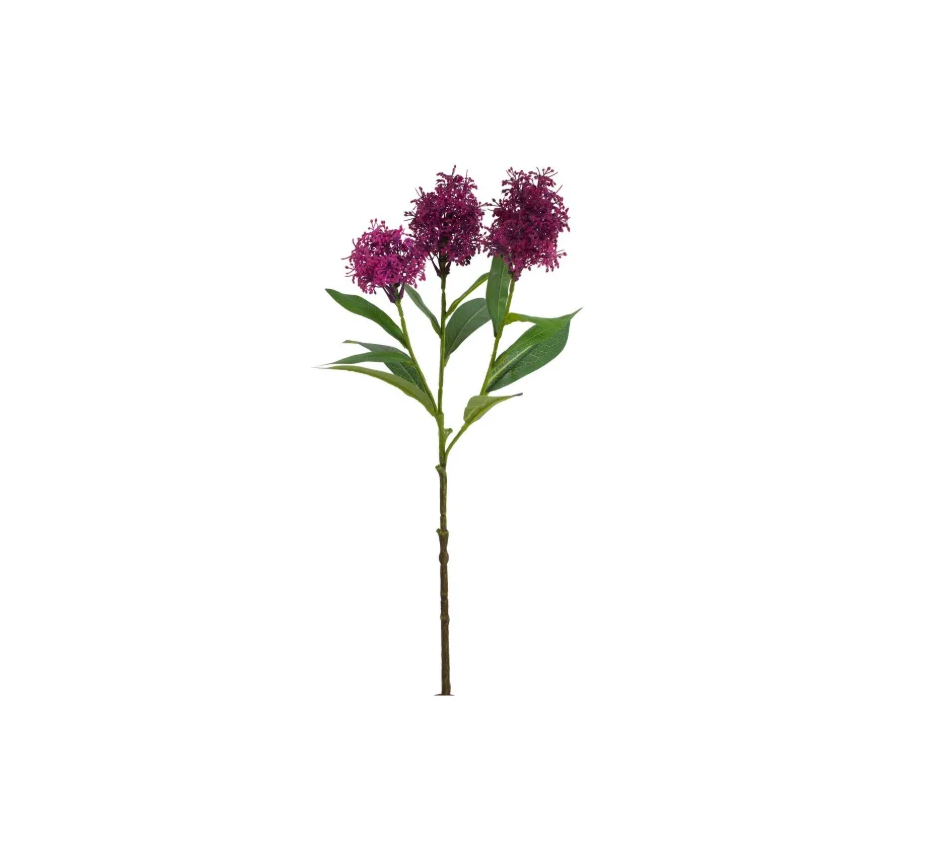 Ramo Skimmia Hazely X3F Bizzotto
