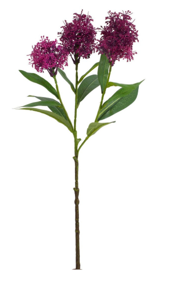 Ramo Skimmia Hazely X3F Bizzotto